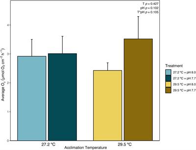 Acclimation History of Elevated Temperature Reduces the Tolerance of Coralline Algae to Additional Acute Thermal Stress